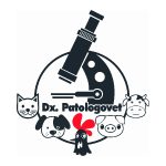 Sin título-1 - copia-08