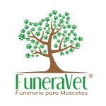 logo_Mesa de trabajo 1